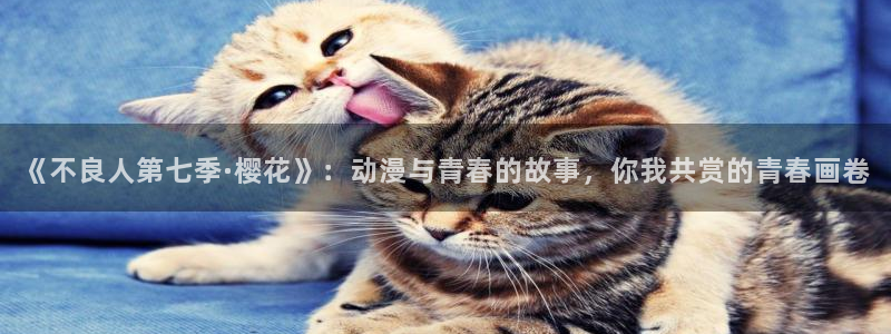 拷贝漫画 copymanager.ory网站：《不良人第七季·樱花》：动漫与青春的故事，你我共赏的青春画卷