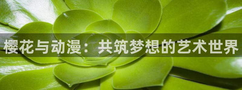 colamanage漫画官网：樱花与动漫：共筑梦想的艺术世界