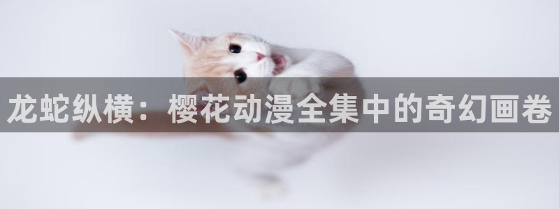 age动漫官网版入口：龙蛇纵横：樱花动漫全集中的奇幻画卷