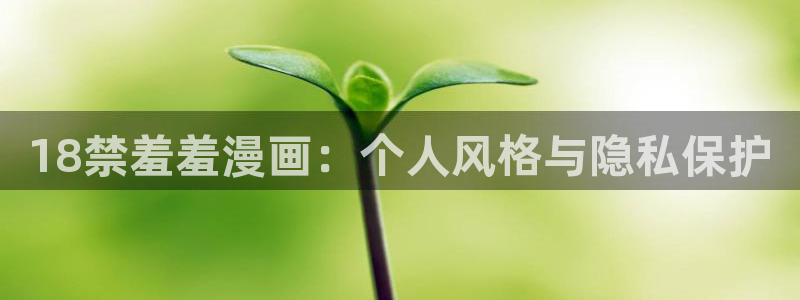 拷贝漫画 copymanager.ory网站：18禁羞羞漫画：个人风格与隐私保护