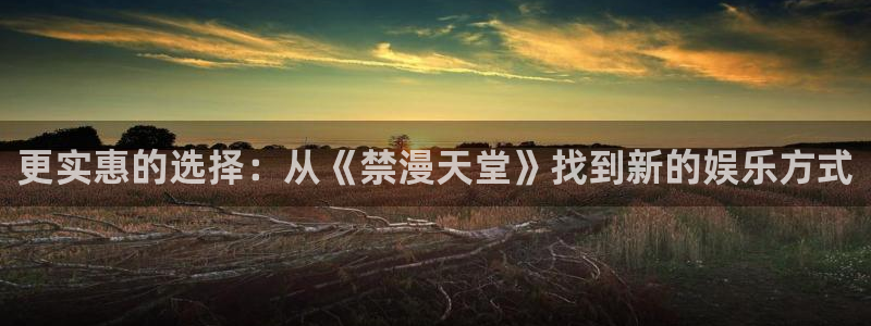 下载age动漫：更实惠的选择：从《禁漫天堂》找到新的娱乐方式