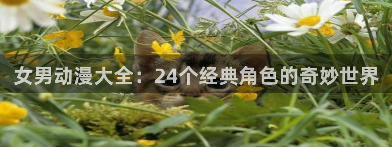 age动漫官网樱花动漫：女男动漫大全：24个经典角色的奇妙世界