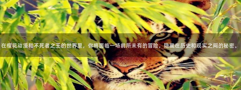 在线动画动漫下载age动漫：在樱花动漫和不死者之王的世界里，你将面临一场前所未有的冒险，隐藏在历史和现实之间的秘密。