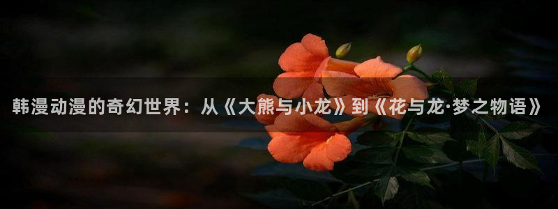age动漫专注动漫的门户网站：韩漫动漫的奇幻世界：从《大熊与小龙》到《花与龙·梦之物语》