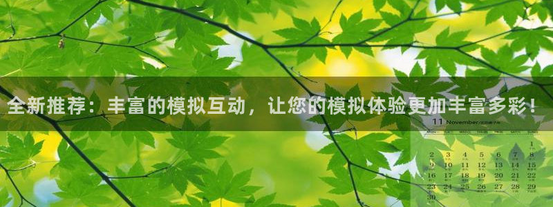 age动漫：全新推荐：丰富的模拟互动，让您的模拟体验更加丰富多彩！