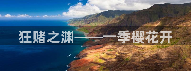 age动漫官网版入口：狂赌之渊——一季樱花开