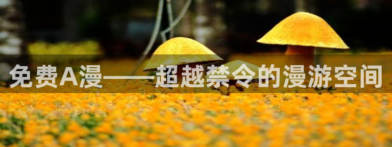age动漫官网网址：免费A漫——超越禁令的漫游空间