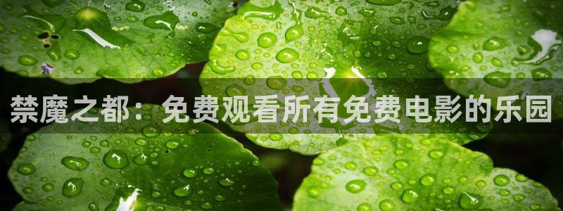 age动漫网上看：禁魔之都：免费观看所有免费电影的乐园