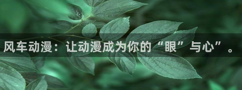 age动漫网：风车动漫：让动漫成为你的“眼”与心”。