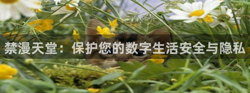 age动漫正版网：禁漫天堂：保护您的数字生活安全与隐私