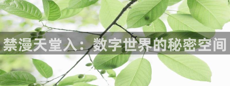 age动漫网下载：禁漫天堂入：数字世界的秘密空间